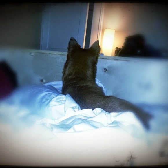 Meet your Posher, Marcella - Picture 1 of 1